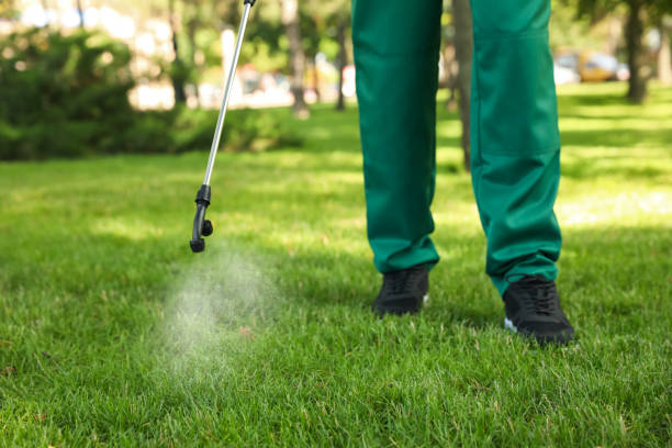 Wasp Removal Services in Nibley, UT